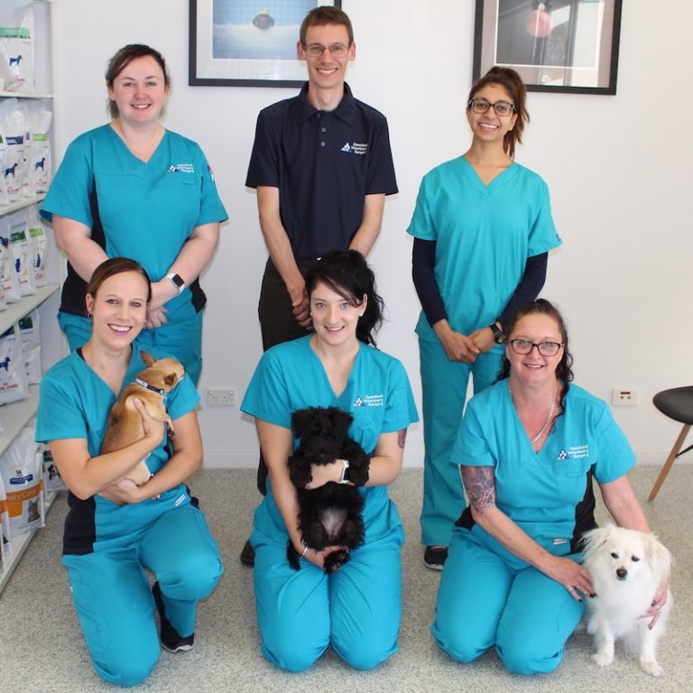 About Oxenford Veterinary Surgery Friendly & Expert Staff