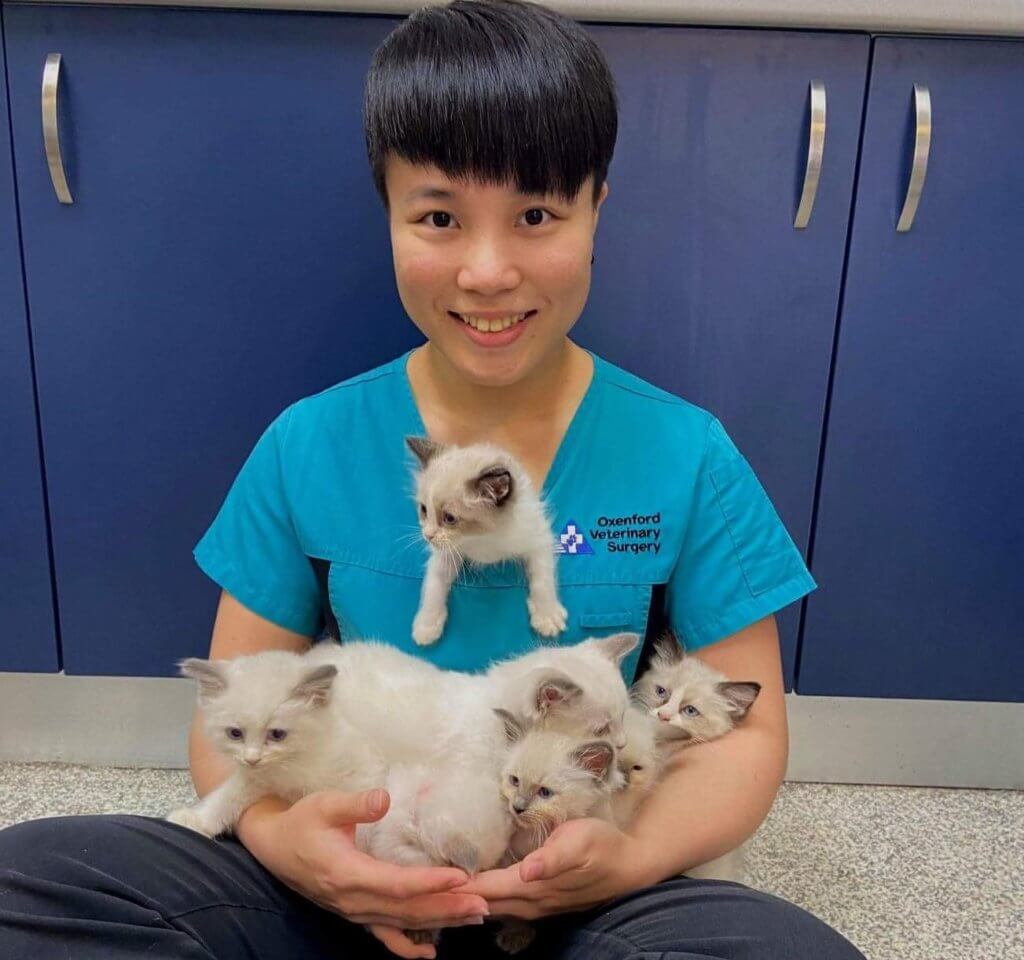 Health Checks for New Puppies & Kittens on the Gold Coast