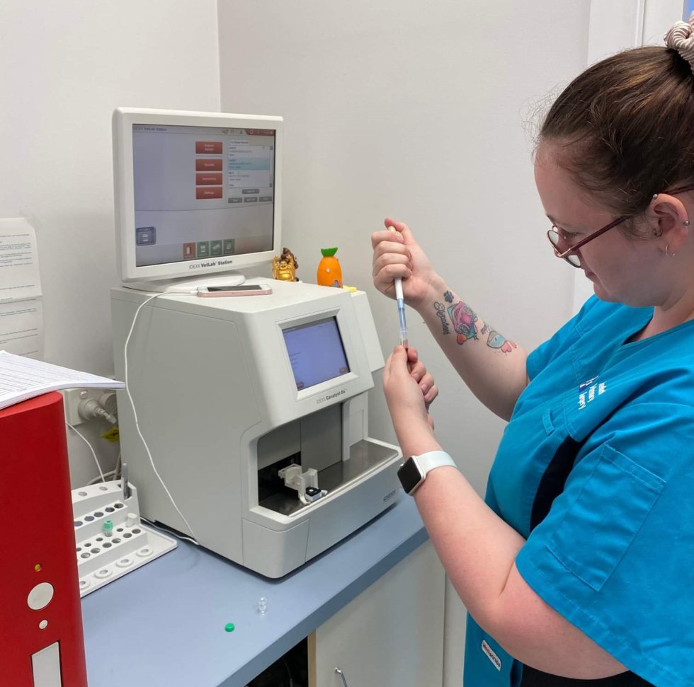 InHouse Blood Testing & Laboratory At Oxenford Vet Surgery